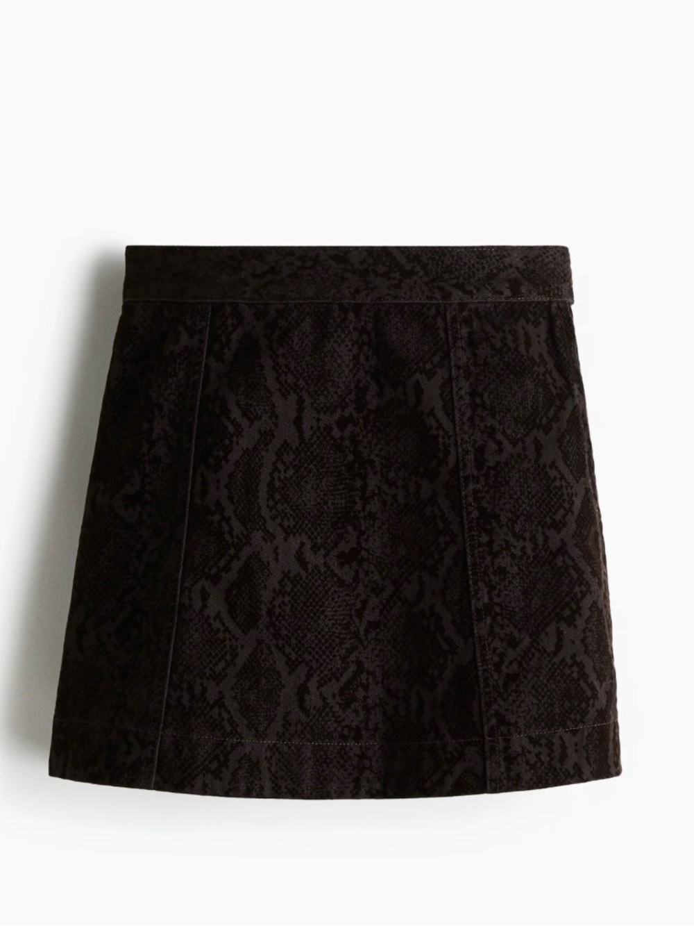 H&M Skirt
